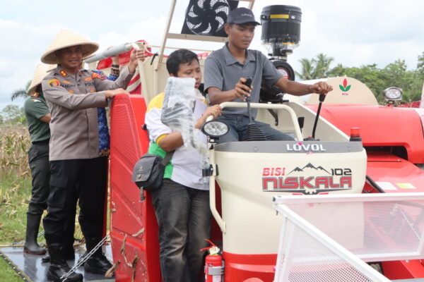 Pakai Teknologi Modern, Hasil Panen Jagung Polres Purworejo di Desa Kalimiru Maksimal