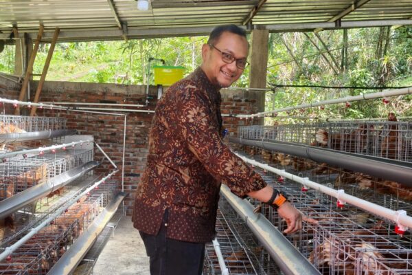 Bangun Kemandirian Pangan, PDAU Purworejo Gandeng BUMDes Luncurkan Program Bisnis Peternakan Ayam Tanpa Bau